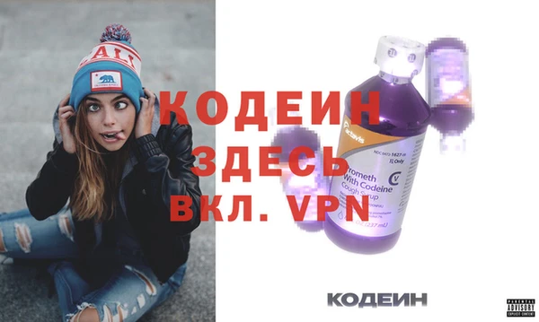 индика Балахна