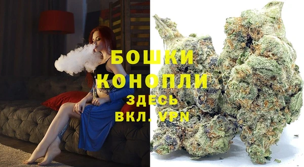 индика Балахна
