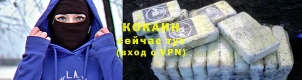индика Балахна