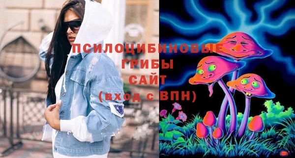 дживик Беломорск