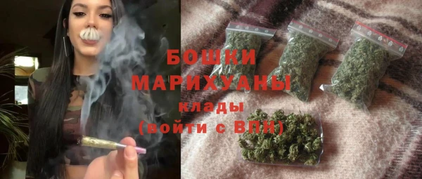 индика Балахна