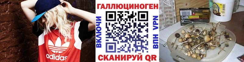 MEGA зеркало  Луховицы  Галлюциногенные грибы мухоморы 
